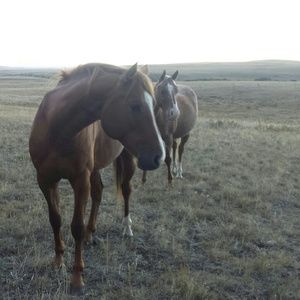 Meet your Posher, Rhianna