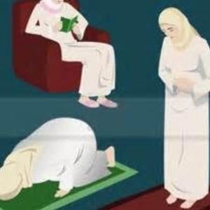 Meet your Posher, Rosa