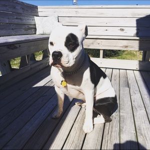 Meet your Posher, Judy