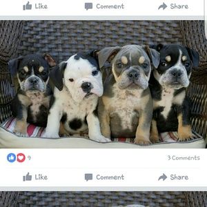 Meet your Posher, Alisha