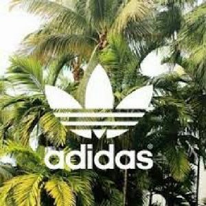 Meet your Posher, Here i