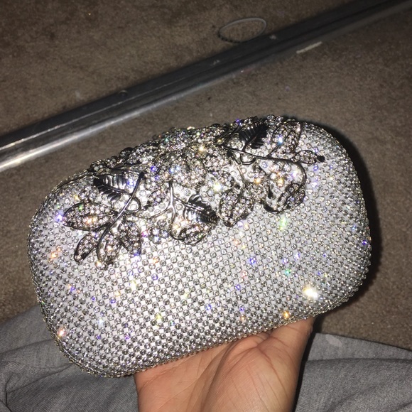 STUNNING Clutch/Purse
