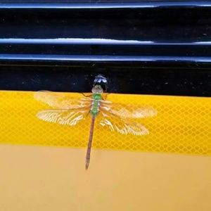 Meet your Posher, Kari