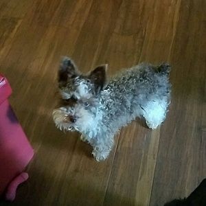 Meet your Posher, Christine