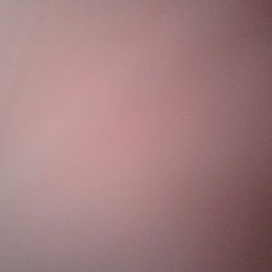 Meet your Posher, Rachael