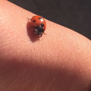 Meet your Posher, Justine