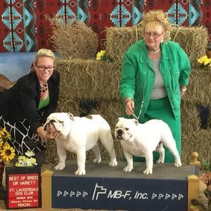 Meet your Posher, Sandra