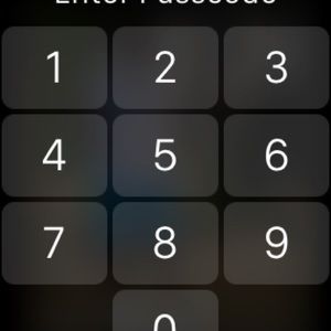 Meet your Posher, Alisha