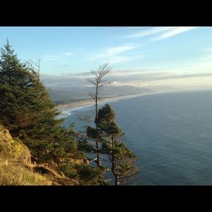 Meet your Posher, Lou