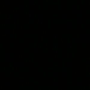 Meet your Posher, Araceli