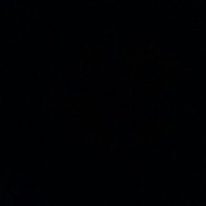 Meet your Posher, Liliana