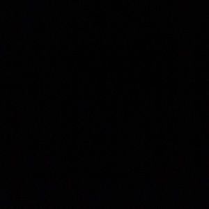 Meet your Posher, Carter