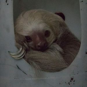 Meet your Posher, Kaitlyn