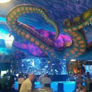 Meet your Posher, Giovanna