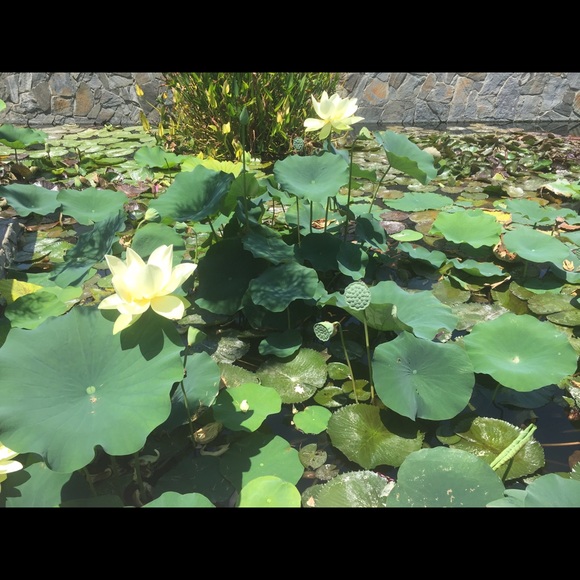 Meet your Posher, Roz - Picture 1 of 1