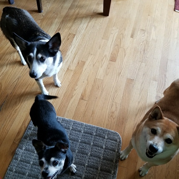 🧁I Love Snacks!🧁 - Picture 3 of 4