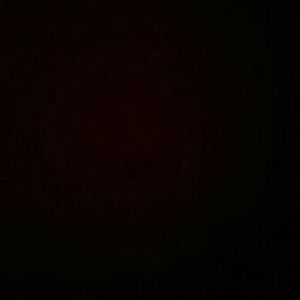 Meet your Posher, Bridgett