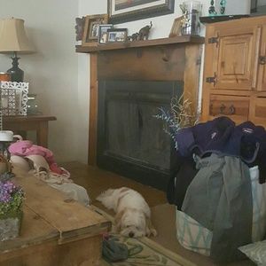 Meet your Posher, Azalia