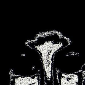 Meet your Posher, Shawna