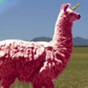 Meet your Posher, Alicia