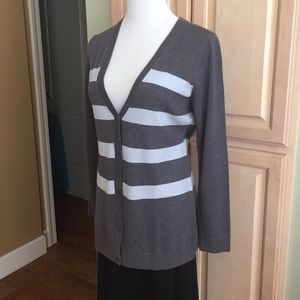 Really cute gray and baby blue striped cardigan 🐶