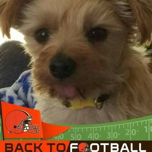 Meet your Posher, Brandy