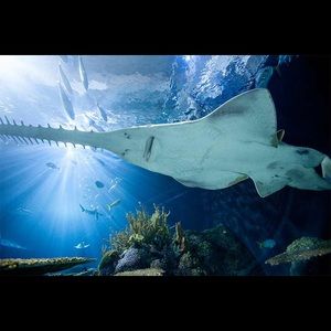 Meet your Posher, Tanja