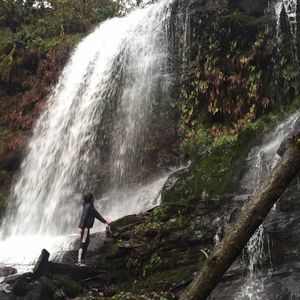 Meet your Posher, Berenice