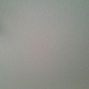 Meet your Posher, Patty