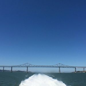 Meet your Posher, Donovan