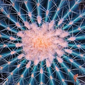 Meet your Posher, Destiny