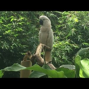 Meet your Posher, Natacha