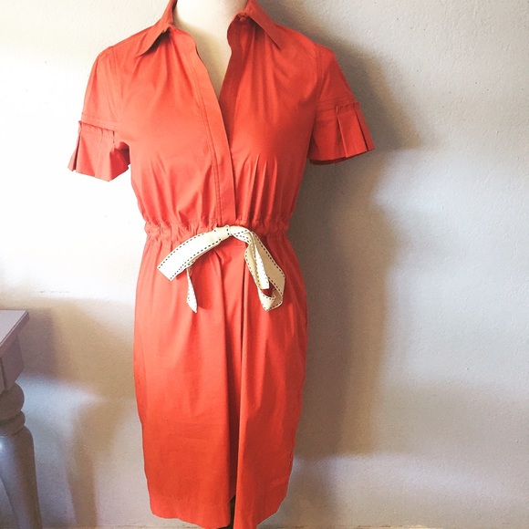 BCBG maxazira cinched waist dress