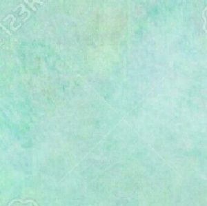 Meet your Posher, Kaylan