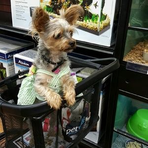 Meet your Posher, Amberly