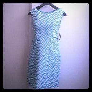 SALE! Never Worn Eva Franco "Ana Maria" dress
