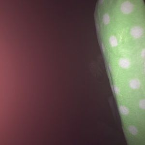 Meet your Posher, Lydia