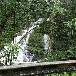 Meet your Posher, Coraly