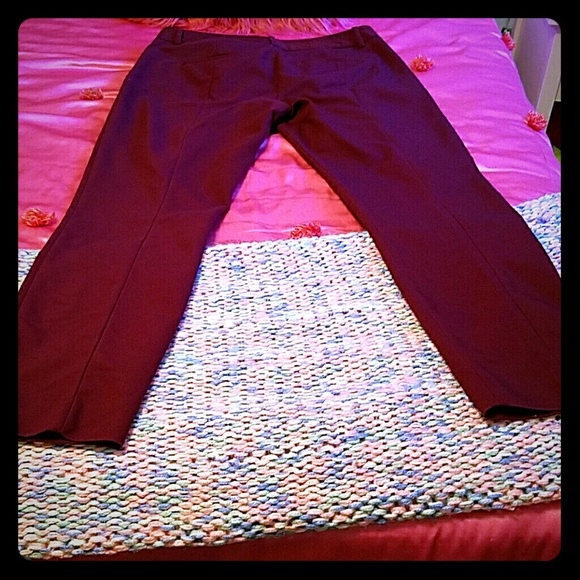 Express columnist 8R ankle pants.