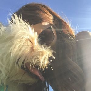 Meet your Posher, Laurel