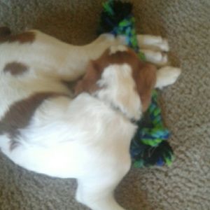 Meet your Posher, Lisa