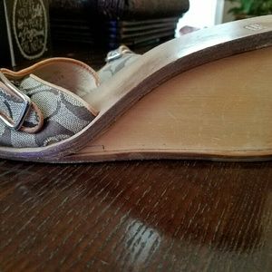 Vintage Coach honey slides