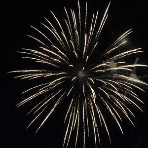 Meet your Posher, Annalise