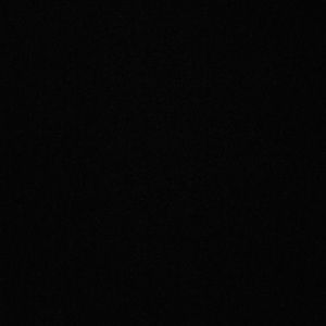 Meet your Posher, Bailey