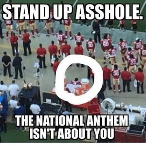 Meet your Posher, Evelyn