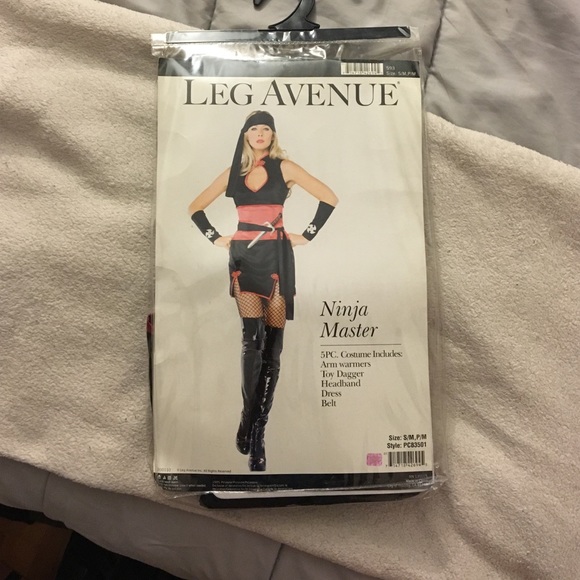 Ninja Master Halloween costume