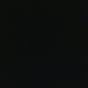 Meet your Posher, Rosa