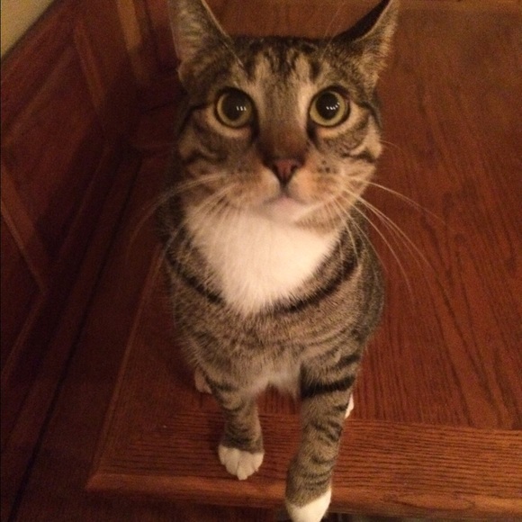 Mommy wants you to buy her stuff! 💋Charles