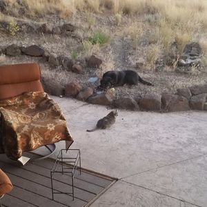 Meet your Posher, Brandi