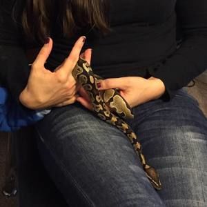 Meet your Posher, Cecilia